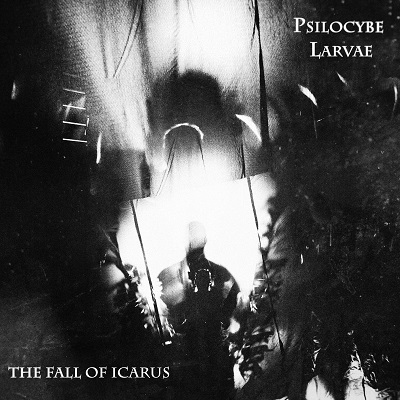 PSILOCYBE LARVE – new single released