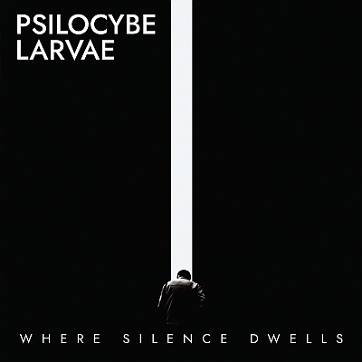 News from PSILOCYBE LARVE (melodic doom/death/dark metal), St.Petersburg, Russia